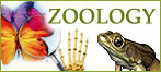 The Department of ZOOLOGY